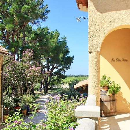 Le Clos Vitis Violès Exterior foto